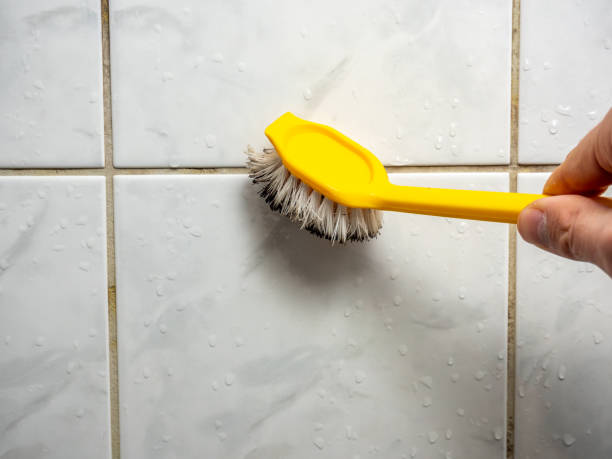 Best Residential Mold Removal  in Oquawka, IL