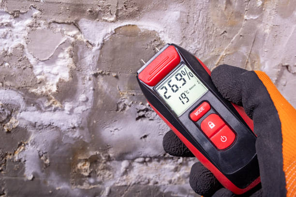 Best Residential Mold Removal  in Oquawka, IL